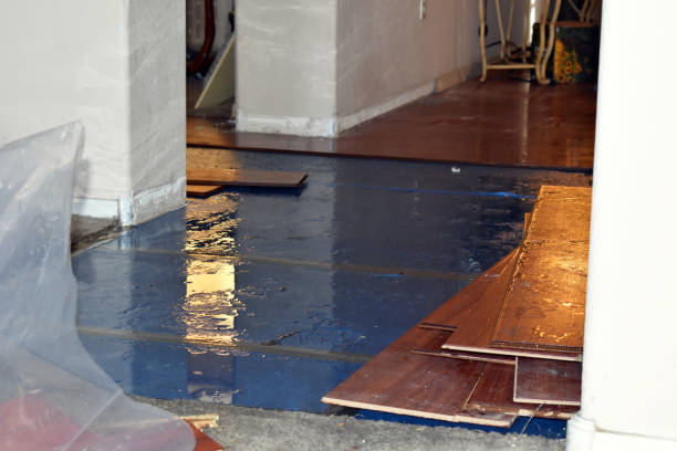 Professional Burst Pipe Water Damage technician working in Onalaska, TX